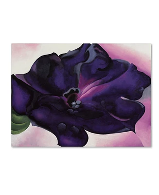 Georgia O'Keefe 'Petunia' Canvas Art - 19" x 14" x 2"