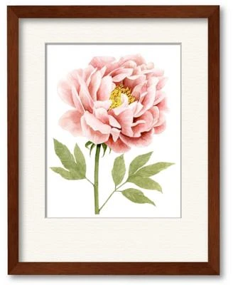 Courtside Market Elephant Portrait Ii Framed Matted Art Collection