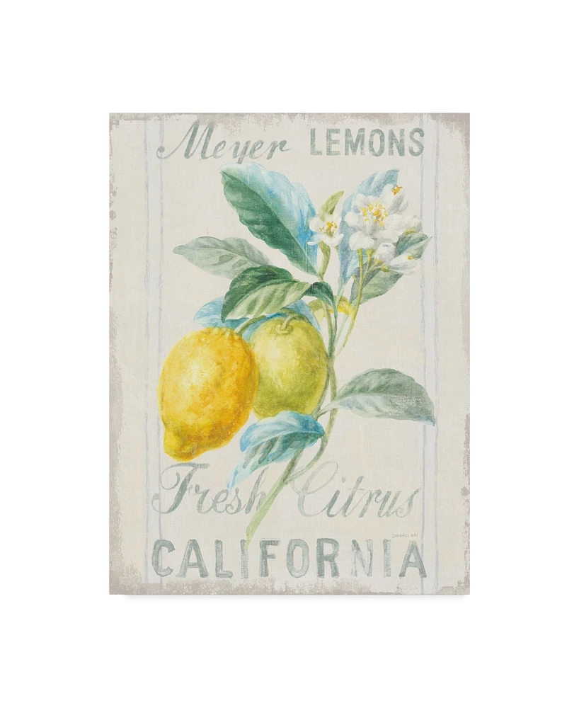 Danhui Nai Floursack Lemon Ii Canvas Art - 20" x 25"