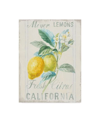 Danhui Nai Floursack Lemon Ii Canvas Art - 20" x 25"