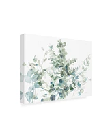 Danhui Nai Eucalyptus I Cool Canvas Art - 19.5" x 26"