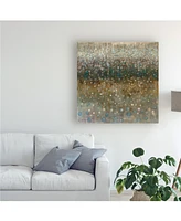 Danhui Nai Abstract Rain Canvas Art - 15.5" x 21"