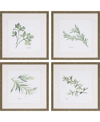 Paragon Herbs Framed Wall Art Set of 4, 17" x 17"
