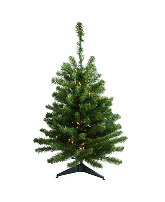 Northlight 3' Pre-Lit Canadian Pine Artificial Christmas Tree - Clear Lights