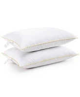 Cheer Collection Luxurious Gel Fiber Filled 2 Pack Pillows