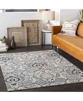 Livabliss Chester Che 2323 Gray Area Rug