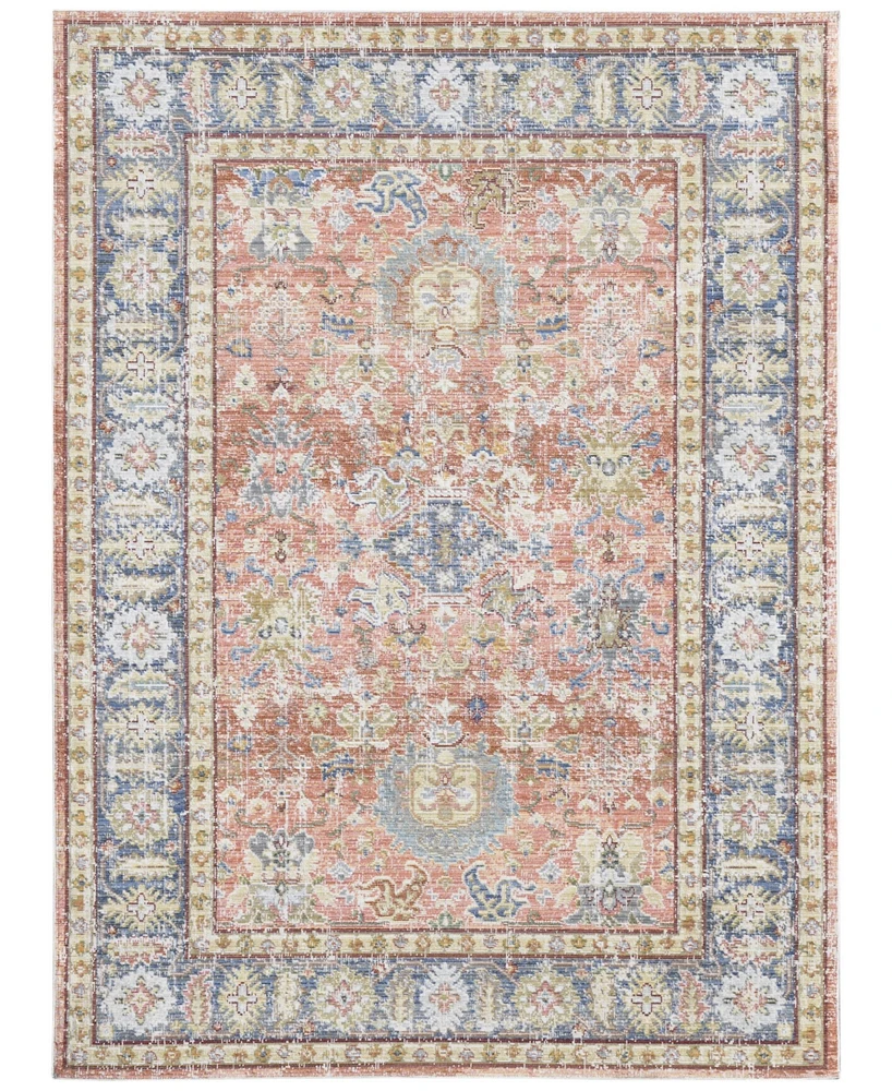 Amer Rugs Century Cen-16 Coral 5'3" x 7'3" Area Rug