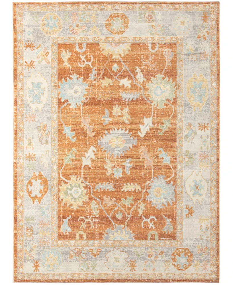 Amer Rugs Bohemian Bhm-4 Orange 7'9" x 9'9" Outdoor Area Rug