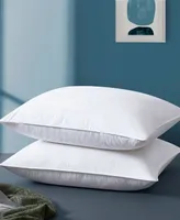 Unikome Goose Down and Feather 2-Pack Pillows