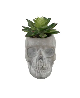 5" Artificial Succulent in Cement Sugar Skull