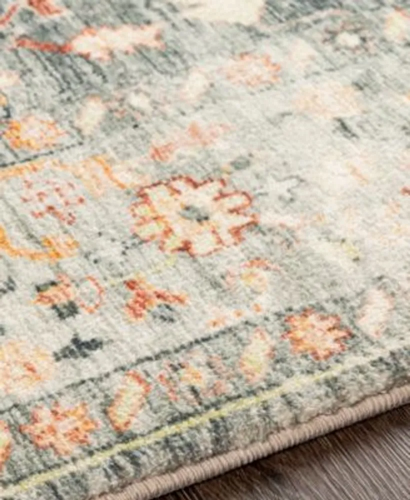 Livabliss Erin Ern2306 Area Rug