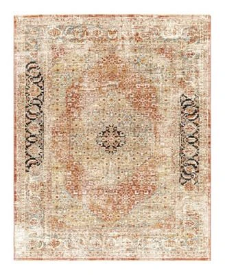 Livabliss Aspendos Aps 2302 Area Rugs
