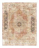 Livabliss Aspendos Aps 2302 Area Rugs