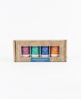 Alchemy Spice Fan Favorites Spice Blend Collection Gift Set, 4 Piece