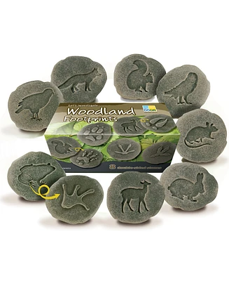 Yellow Door Let's Investigate Woodland Footprint Stones, Set of 8