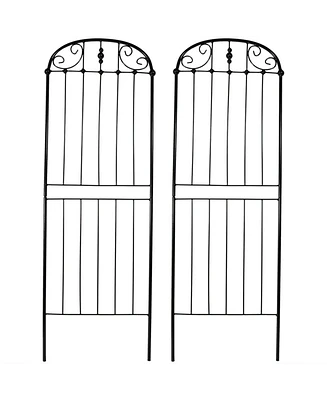 Metal Wire Traditional Garden Trellis for Climbing Plants and Flowers - 32" H - Black - 2-Pack