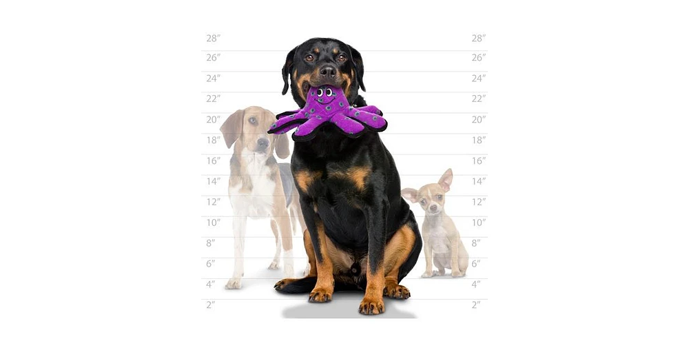 Tuffy Ocean Creature Small Octopus, Dog Toy