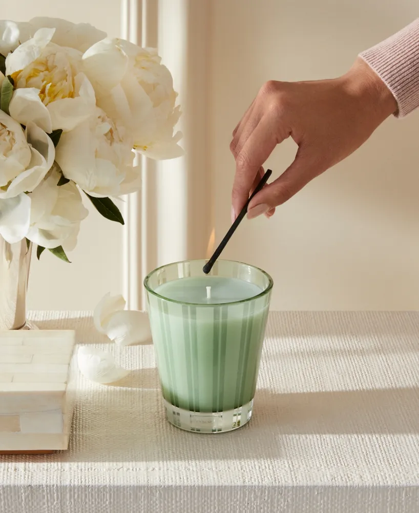 Nest New York Wild Mint & Eucalyptus Classic Candle, 8.1 oz.