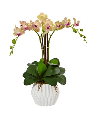 Nearly Natural Phalaenopsis Orchid Silk Arrangement in White Vase