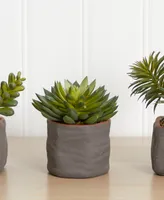 Nearly Natural Trio of Artificial Succulent Plants, Set of 3