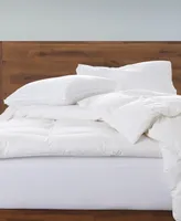Ella Jayne Gusseted Firm Plush Down Alternative Side/Back Sleeper -Pack Pillow