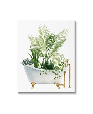Stupell Industries Various Plants in Vintage-Like Tub Canvas Wall Art, 24" x 1.5" x 30"