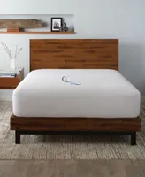 Ella Jayne Terry Cloth Water Resistant Mattress Pillow Protector Bundle