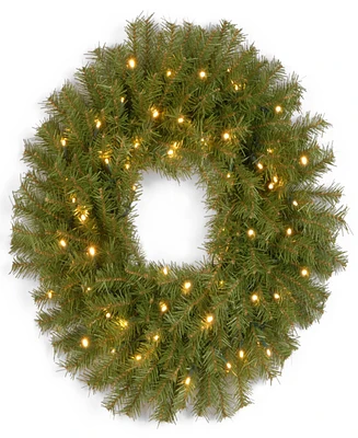 National Tree Company 30" Norwood Fir Wreath with Twinkly Led Lights