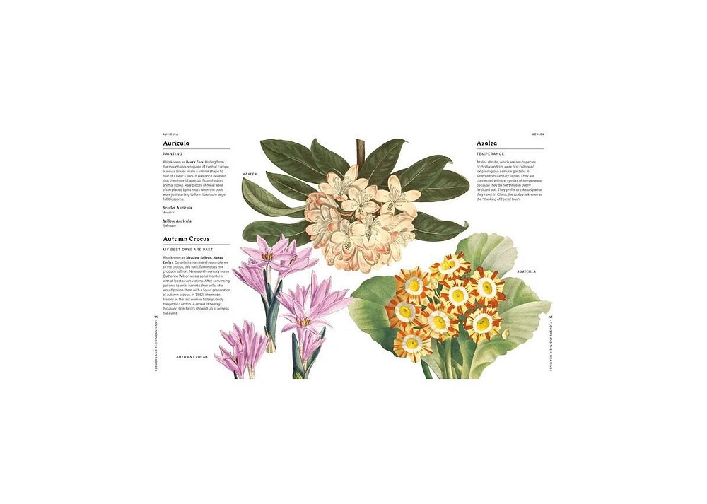 Flowers and Their Meanings- The Secret Language and History of Over 600 Blooms (A Flower Dictionary) by Karen Azoulay