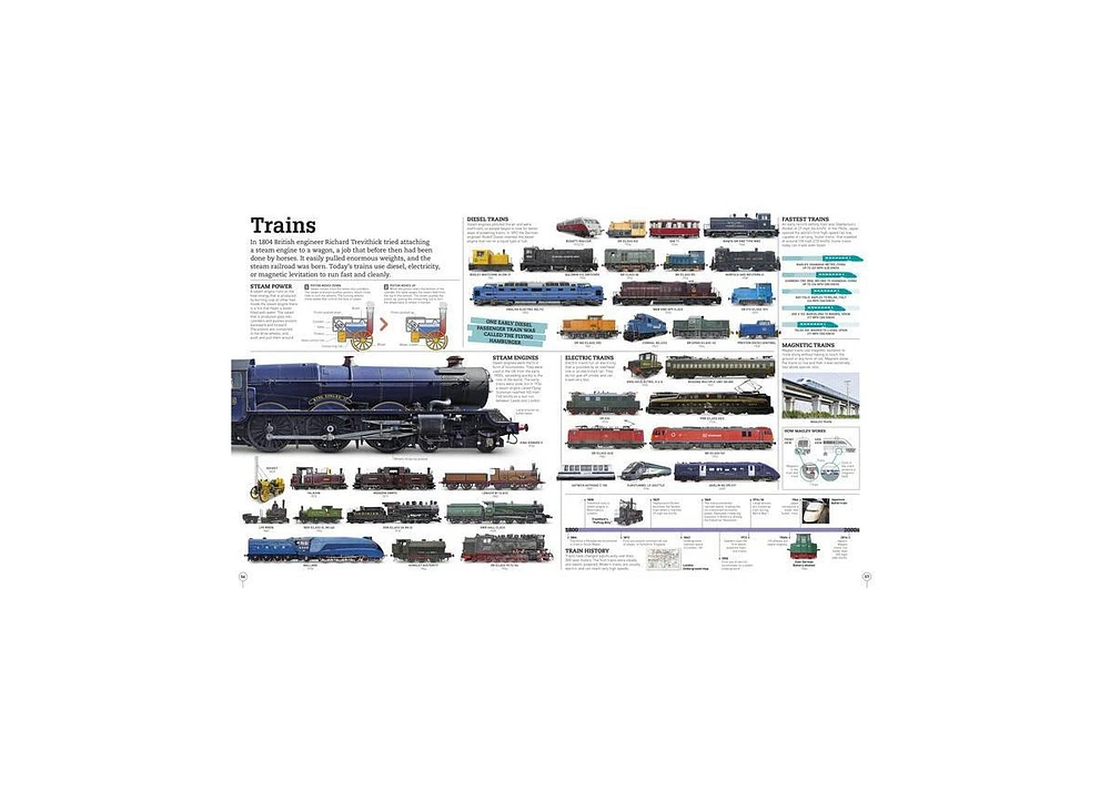 Picturepedia, Second Edition- An Encyclopedia on Every Page by Dk