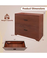 2-Drawer Wood Lateral File Cabinet with Adjustable Bars for Home Office