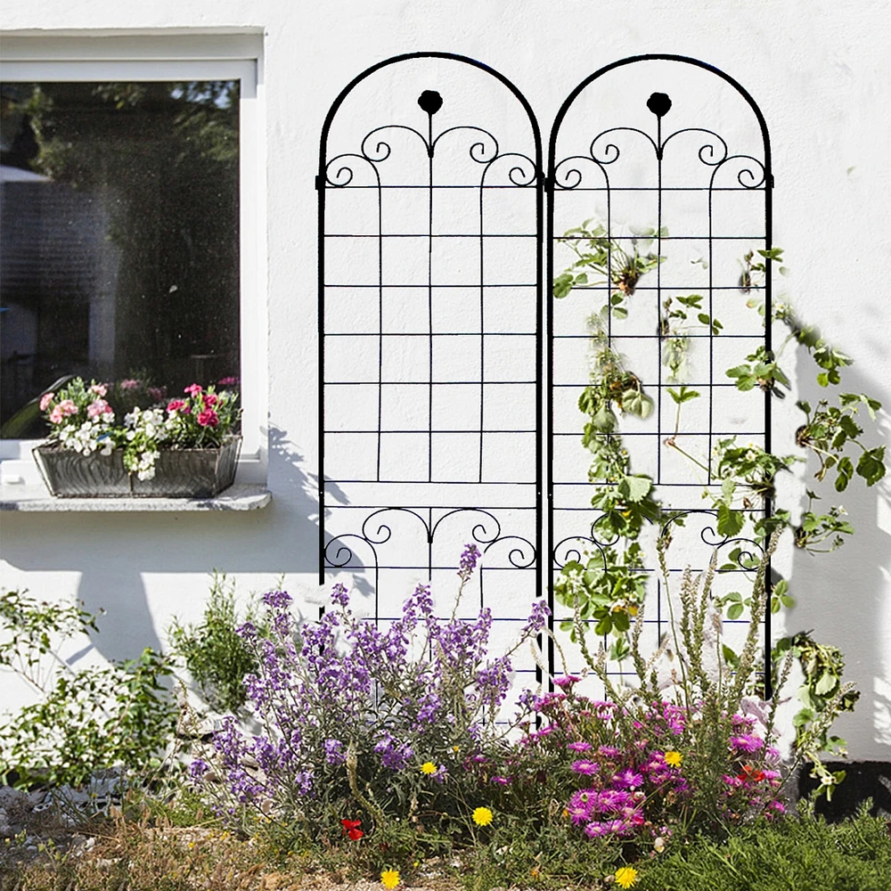 Rustproof Rose Trellis for Climbing Plants 86.7"x19.7"