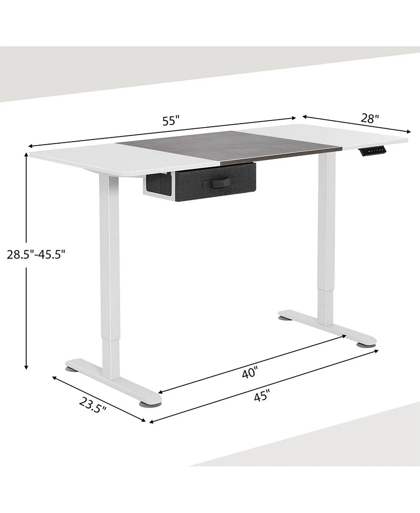 Electric Standing Desk 55'' x 28'' Height Adjustable Sit Stand with Usb Charging Port