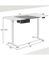 Electric Standing Desk 55'' x 28'' Height Adjustable Sit Stand with Usb Charging Port