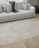 Mink Home Castille CSL016 4'x6' Area Rug