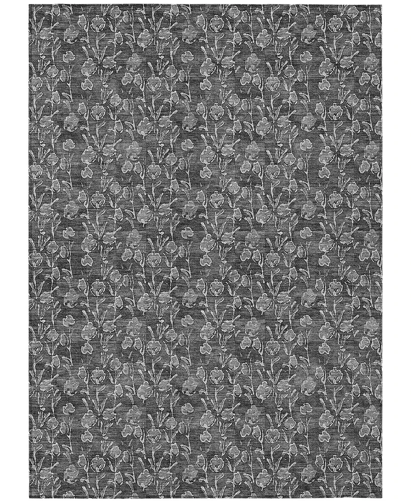 Addison Chantille Machine Washable ACN692 3'x5' Area Rug