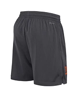 Nike Men's Anthracite Clemson Tigers 2024 Sideline Mesh Shorts