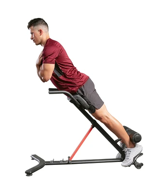 Sunny Health & Fitness Sunny Strength Hyperextension Roman Chair with Dip Station