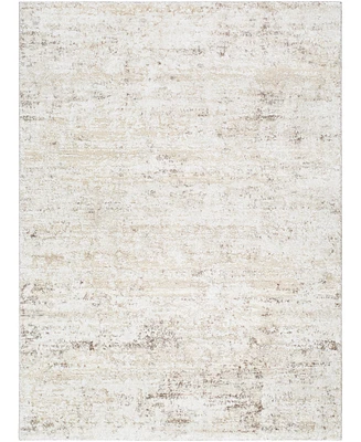 Livabliss Andorra Plus Arp-2305 7'10"x10' Area Rug