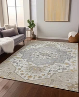 Addison Chantille Machine Washable ACN985 9'x12' Area Rug