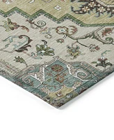 Addison Chantille Machine Washable ACN1036 2'6"x3'10" Area Rug
