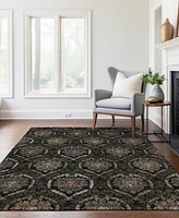 Addison Chantille Machine Washable ACN809 3'x5' Area Rug