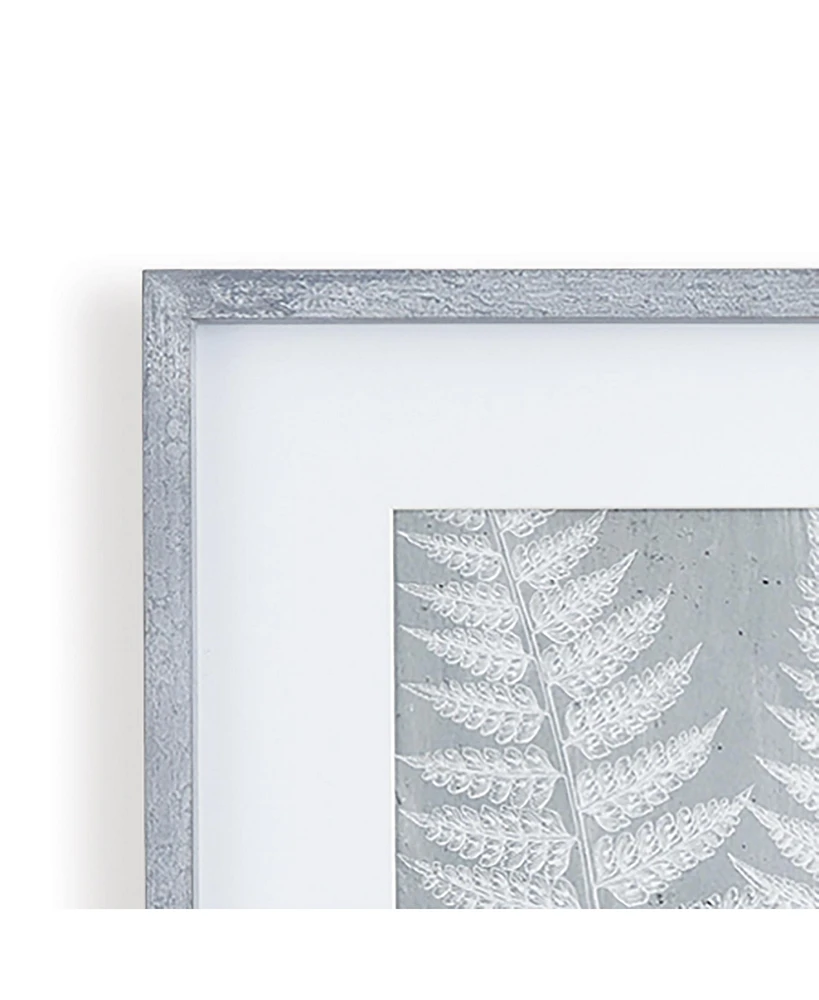 Fern Frond Prints, Set Of 3