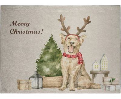 Dalyn Wonderland Wn8 18x26 Area Rug
