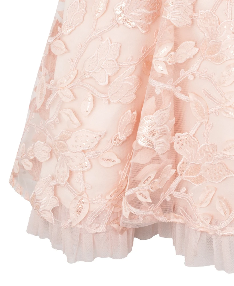 Rare Editions Big Girls Sequin and Embroidered Mesh Social Dress