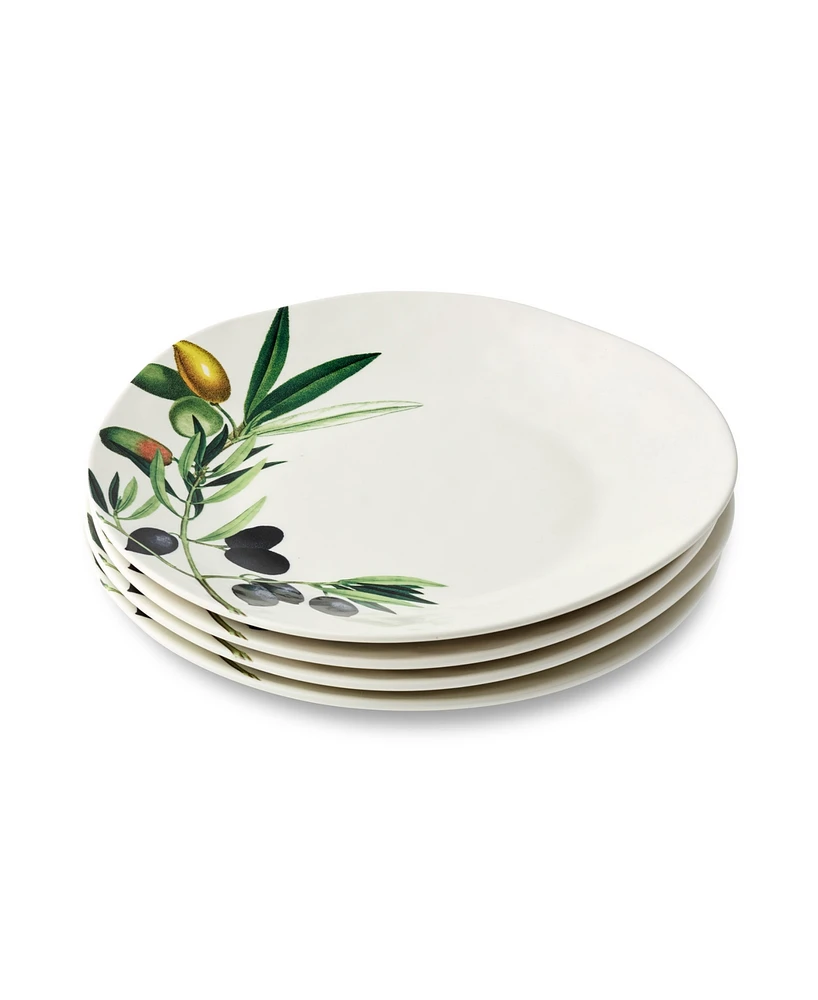 Certified International Olivia Dinner Plates, Set of 4, Service for 4