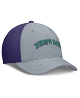 Nike Men's Gray/Purple Tampa Bay Rays Rise Swoosh Performance Flex Hat