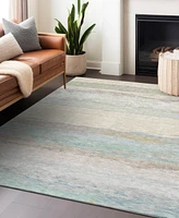 Addison Chantille Machine Washable ACN1283 9'x12' Area Rug