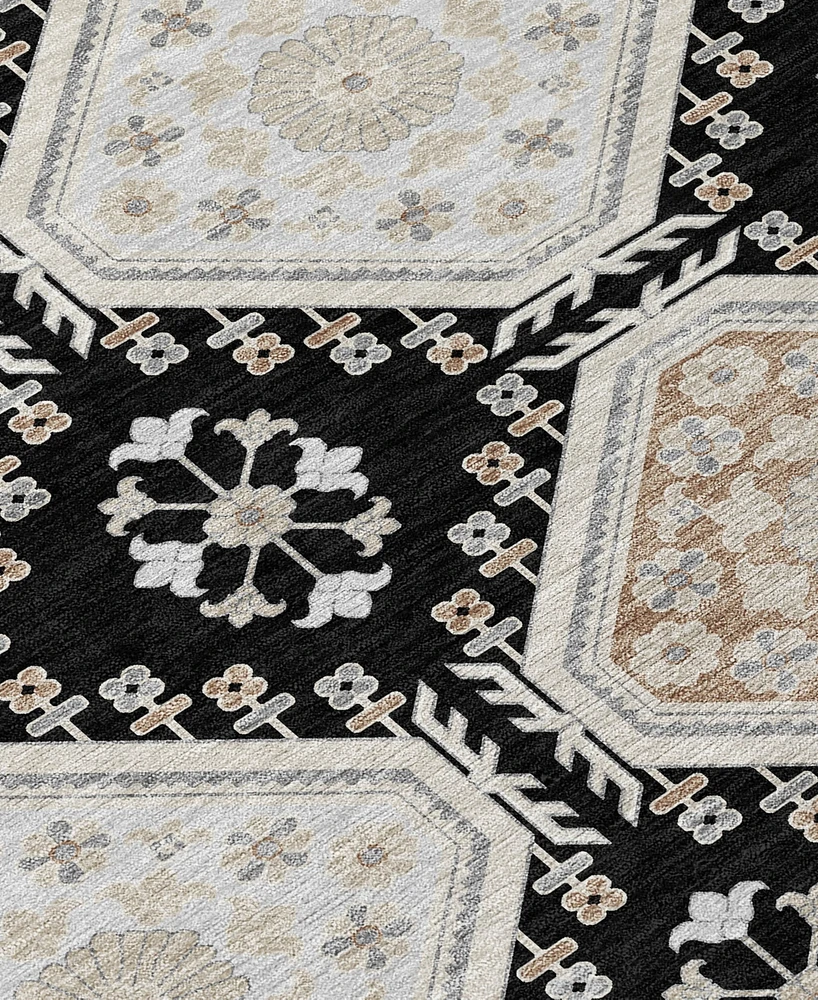Addison Chantille Machine Washable ACN1443 3'x5' Area Rug
