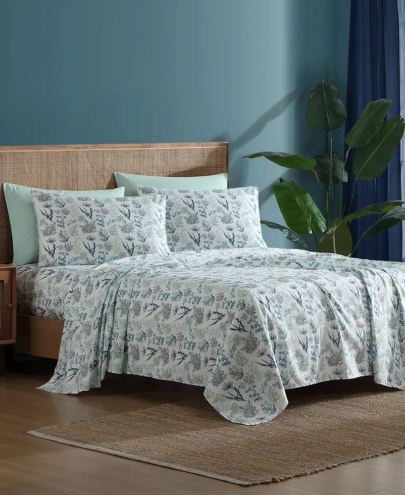 Caribbean Joe Cooling 6-Pc. Sheet Set
